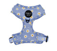 Load image into Gallery viewer, SALE - Pablo & Co. ~ Blue Daisy ~ Harness
