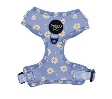 SALE - Pablo & Co. ~ Blue Daisy ~ Harness