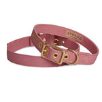 Animals in Charge ~ Dusty Pink ~ Recycled Canvas Collar