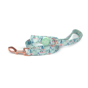 Holly & Co ~ Pretty Fly For A Cacti ~ Leash
