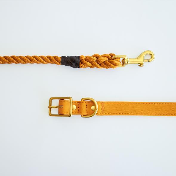 Animals in Charge ~ Yellow ~ Handmade Rope Leash