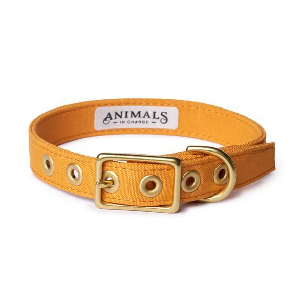 Animals in Charge ~ Yellow ~ Recycled Canvas Collar