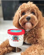 Hugo’s Ice Creamery ~ Doggie Ice Cream