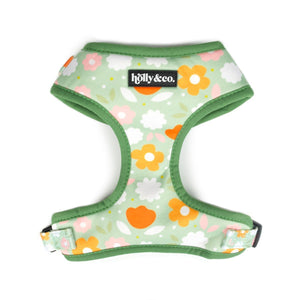 Holly & Co Harness - Flower Power - Maggies Dog Wellness