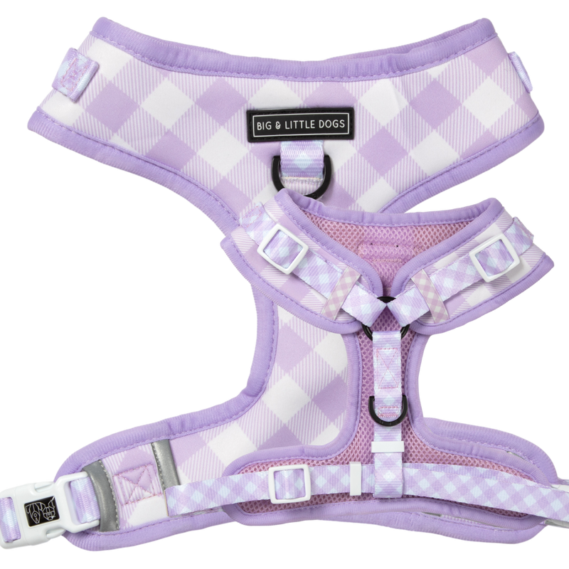 Big & Little Dogs ~ Berry Gingham ~ Harness