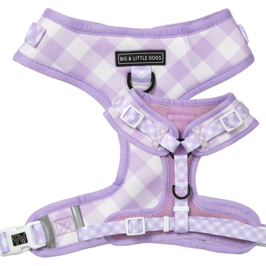 Big & Little Dogs ~ Berry Gingham ~ Harness