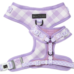Big & Little Dogs ~ Berry Gingham ~ Harness