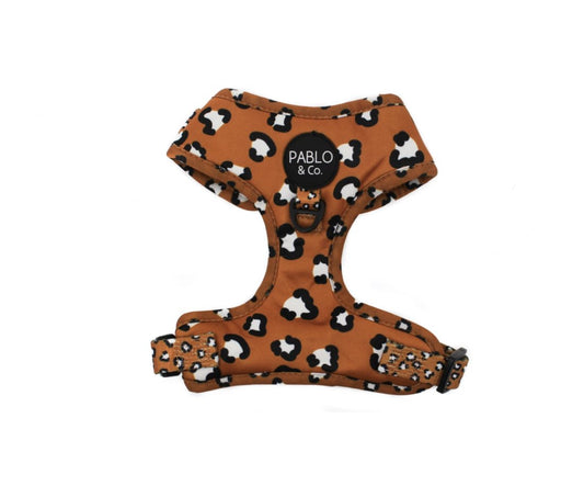 Pablo & Co Harness - That Leopard Print - Maggies Dog Wellness