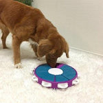 Nina Ottosson Puzzle - Dog Twister - Maggies Dog Wellness