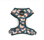 Holly & Co Harness - Wings - Maggies Dog Wellness
