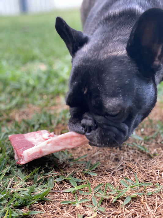 Organic Paws - Lamb Bones - Maggies Dog Wellness