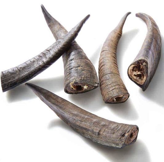 Goat Horn - Maggies Dog Wellness