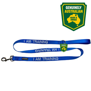 Rover Pet Products ~ I am Training Lead