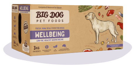 Big Dog Pet Food ~ Wellbeing ~ 3kg