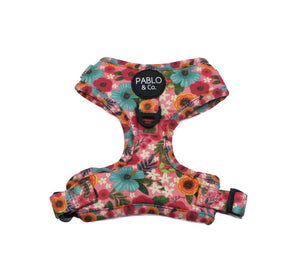 Pablo & Co Harness - Floral Edit - Maggies Dog Wellness