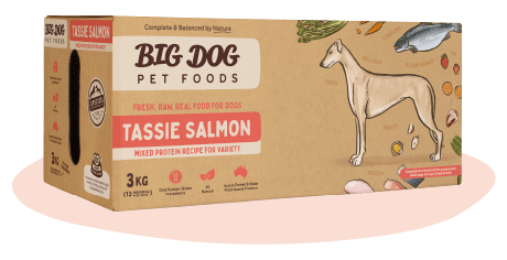 Big Dog Pet Food ~ Salmon ~ 3kg