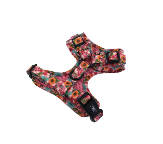 Pablo & Co Harness - Floral Edit - Maggies Dog Wellness