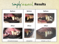 Load image into Gallery viewer, Simply Seaweed ~ Dental Health Supplement
