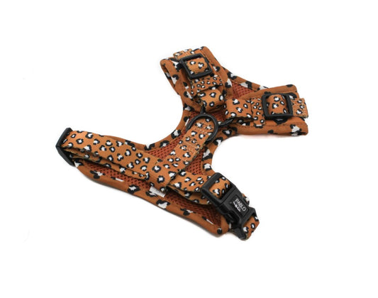 Pablo & Co Harness - That Leopard Print - Maggies Dog Wellness