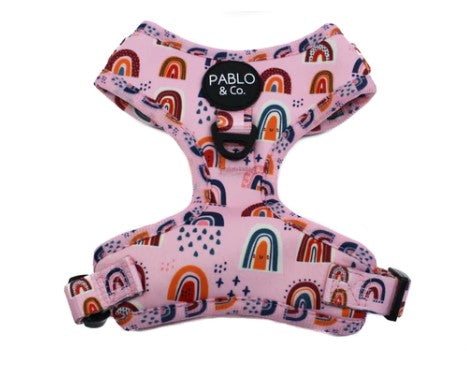 SALE - Pablo & Co. ~ Pink Rainbow ~ Harness