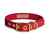 Animals in Charge ~ Red ~ Recycled Canvas Collar